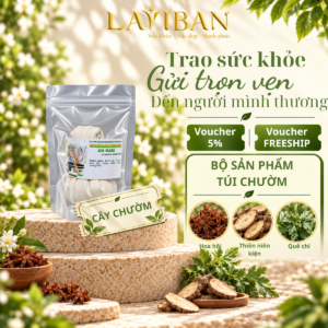Cây chườm thảo dược