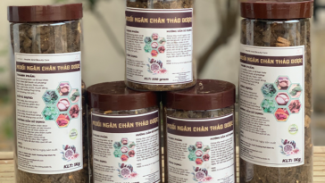 cung-cap-si-muoi-ngam-chan-thao-duoc