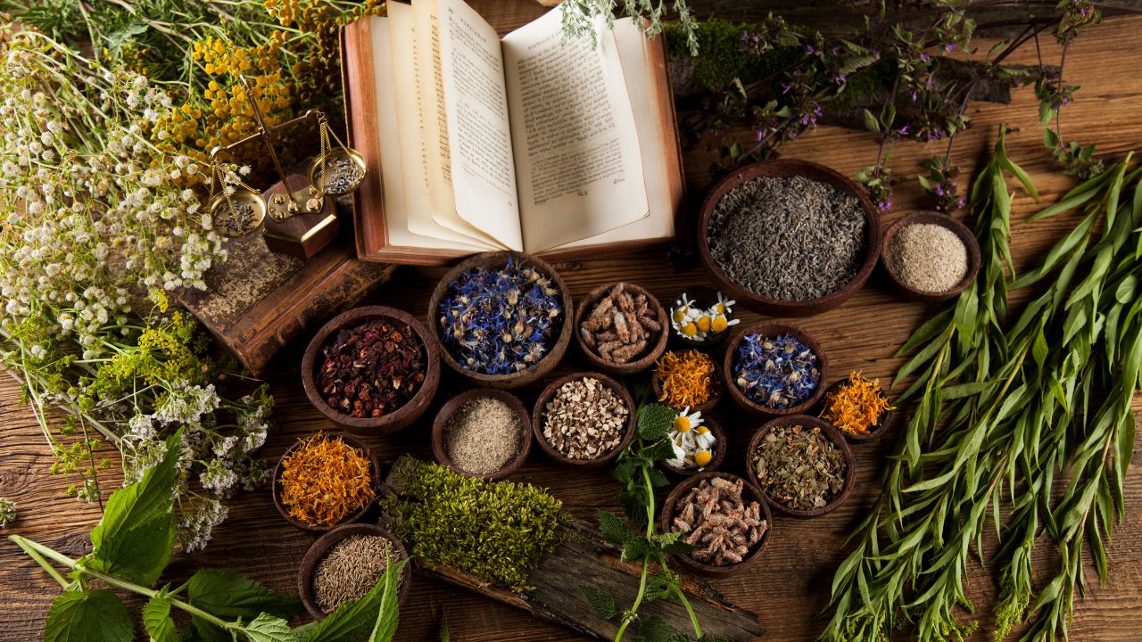 muoi-thao-duoc-ngam-chan-la-gi