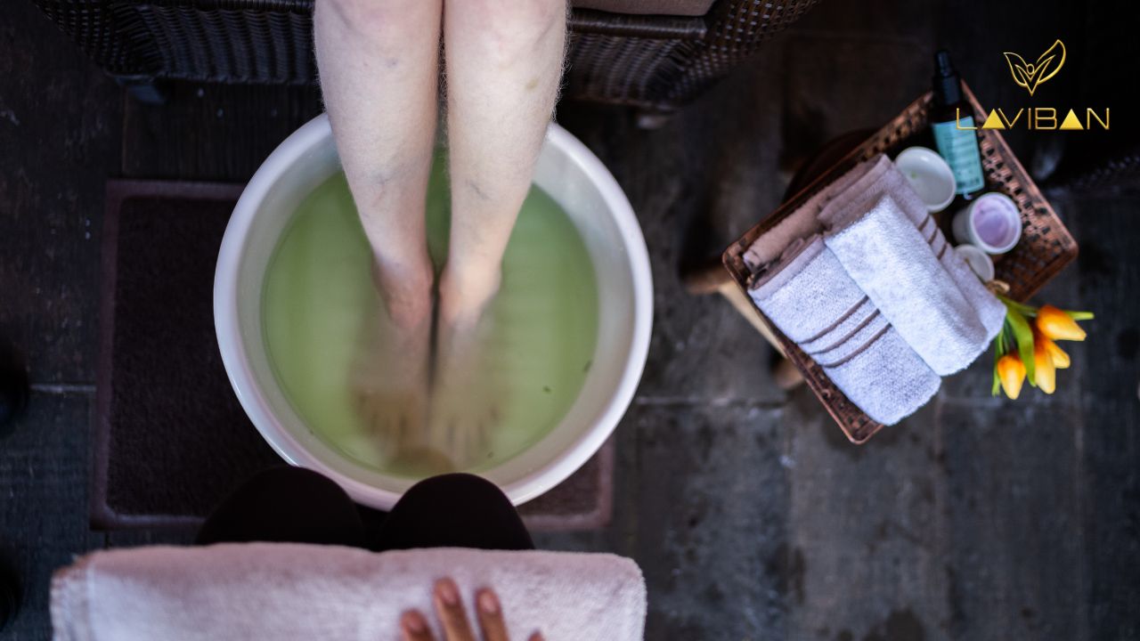 thao-duoc-ngam-chan-chuan-dong-y-la-gi