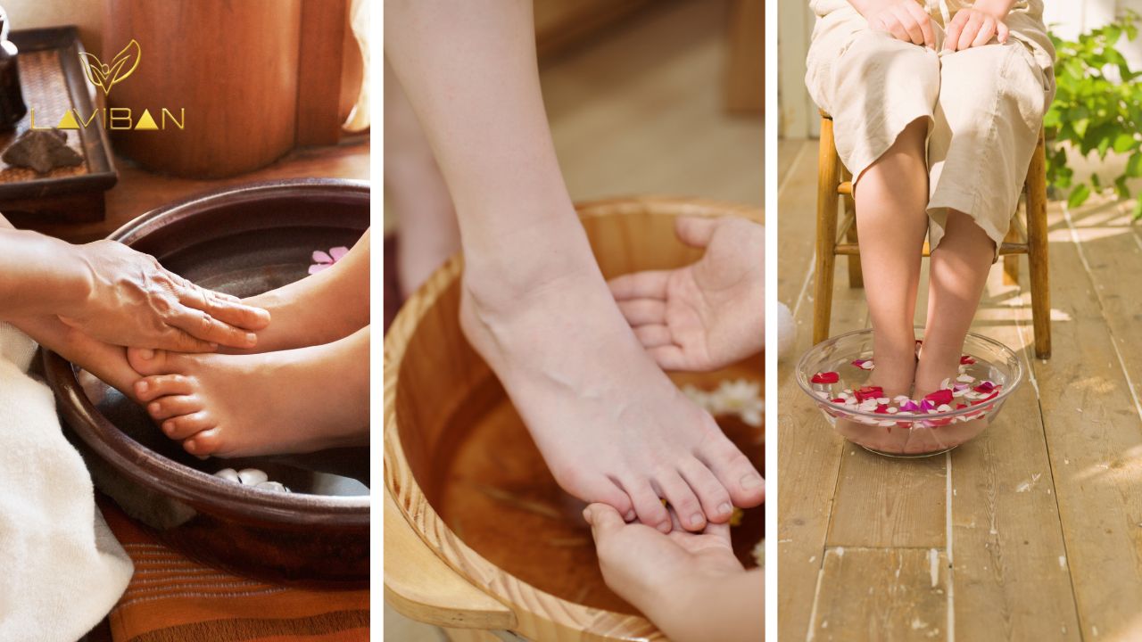 thao-duoc-ngam-chan-loi-ich