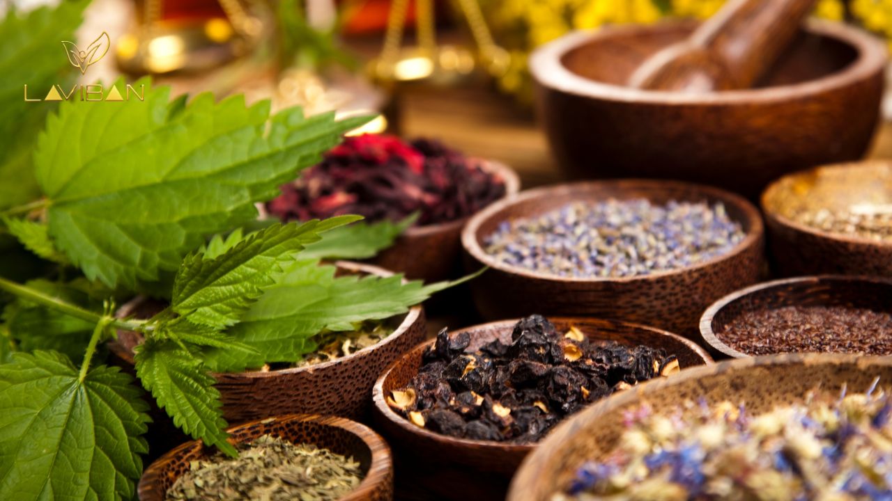 thao-duoc-ngam-chan-vi-sao