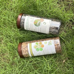 Combo Ngâm Chân Thảo Mộc