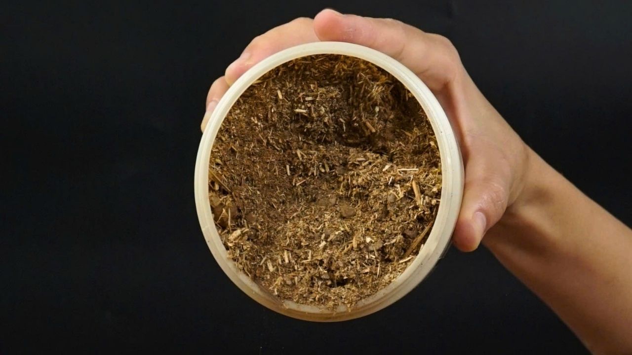 bot-thao-duoc-ngam-chan-loi-ich