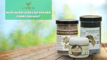 muoi-ngam-chan-cho-spa-dd