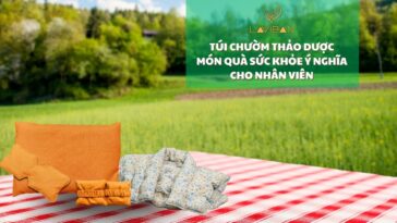 tui-chuom-thao-duoc-dd