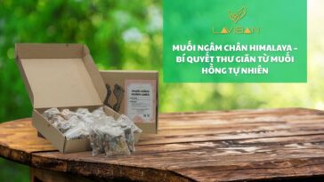 muoi-ngam-chan-himalaya-add