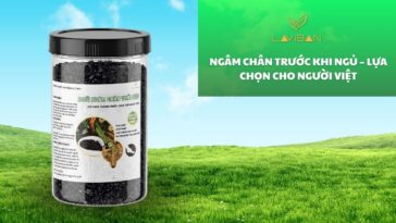 Ngam-chan-truoc-khi-ngu-add-1