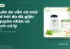 Quần áo vẫn có mùi mồ hôi dù đã giặt: nguyên nhân và cách xử lý