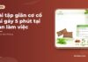 Bài tập giãn cơ cổ vai gáy 5 phút tại bàn làm việc