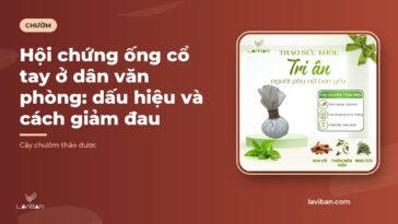 Hội chứng ống cổ tay ở dân văn phòng: dấu hiệu và cách giảm đau