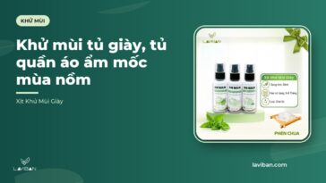 Khử mùi tủ giày, tủ quần áo ẩm mốc mùa nồm