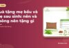 Quà tặng mẹ bầu và mẹ sau sinh: nên và không nên tặng gì