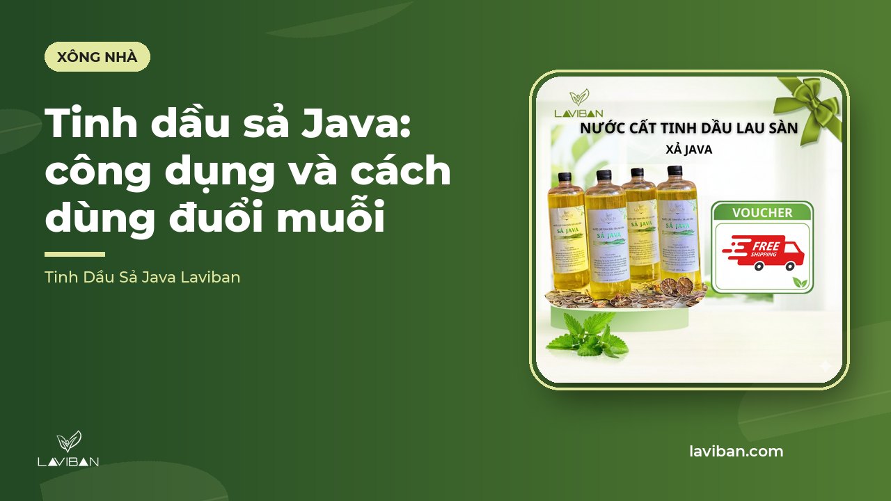 Tinh dầu sả Java: công dụng và cách dùng đuổi muỗi
