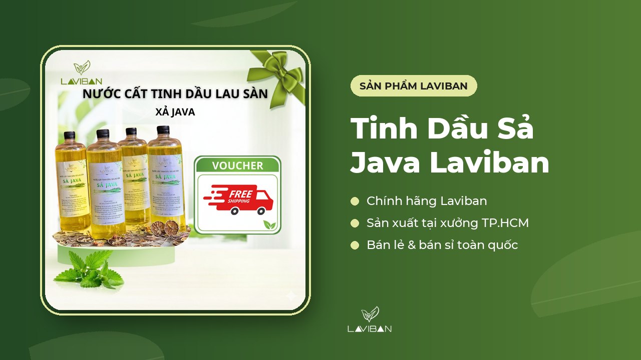 Tinh Dầu Sả Java Laviban của Laviban
